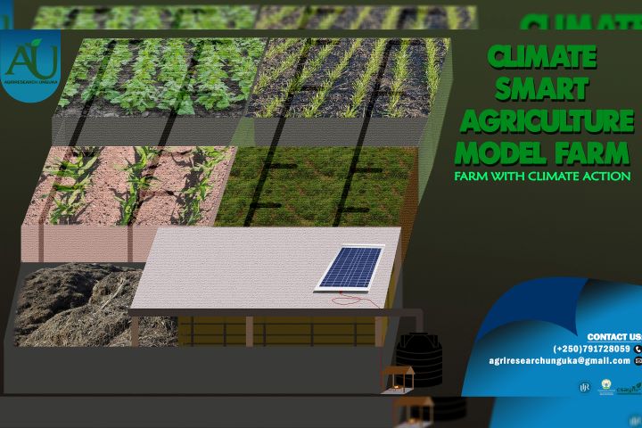 Automated Solar IoT Irrigation